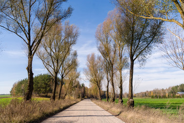 Wzgórza Sokólskie, Tradycyjna architektura drewniana, Krzyże i kapliczki © podlaski49