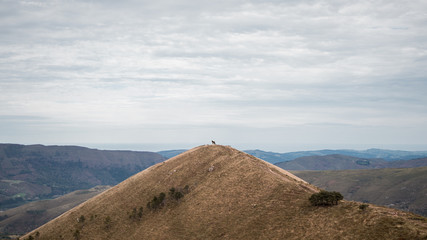 Fototapeta na wymiar Vista lejana de caballo observando el paisaje desde la cima de una montaña en Cantabria, España.