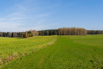 Wzgórza Sokólskie, Tradycyjna architektura drewniana, Krzyże i kapliczki © podlaski49