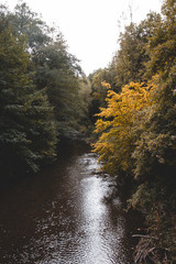 Fluss im herbstlichen Wald