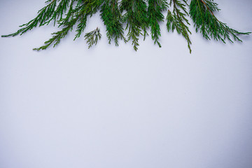 Obraz premium Christmas composition. Green branches of a Christmas tree on a gray background, with place for text, top view, flat lay.