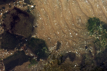 Clear water in the sea. View of the seabed
