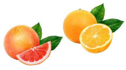 Orange grapefruit set composition watercolor isolated on white background