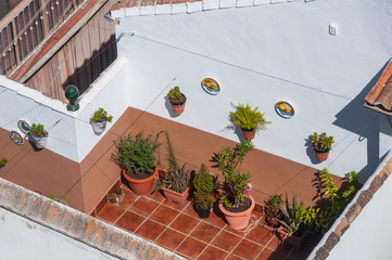 Potted plants on a patio of a white house. Top view.