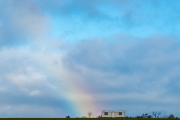 The rainbow shines on a small bare tree