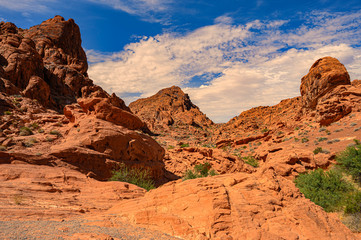 Valley of Fire Nevada USA
