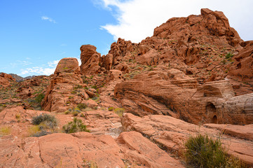 Fototapeta premium Valley of Fire Nevada USA
