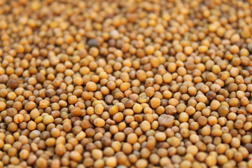Mustard Seeds Close-up. Background. Texture.