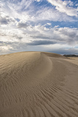 Fototapeta na wymiar desert explorations