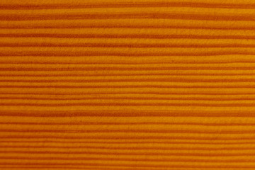 Obraz premium Wooden board covered with varnish. Tree structure.