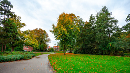 Fototapeta na wymiar City park, trees reflection on the pond water, autumn. Eindhoven, Netherlands.