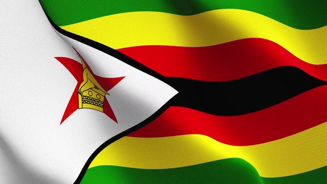 Zimbabwe flag waving loop. Zimbabwean realistic flag with fabric texture blowing on wind.