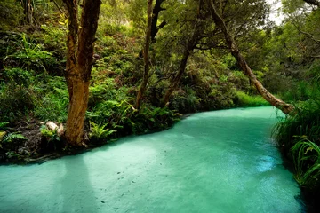 Fotobehang Australia Fraser Island Eli Creek turquoise river in the jungle © SALTY RIVER