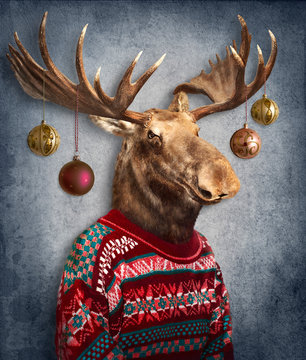 Christmas  moose. Animals in clothes. People with heads of animals .  Concept graphic, photo manipulation for cover, advertising, prints on clothing and other.