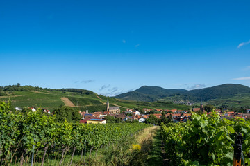 Fototapeta na wymiar Blick auf den Weinort Birkweiler