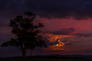 Moon rise abandoned tree on a hill at dark sunset with the rising moon in full moon over the horizon between nature and landscape overlooking dark moody clouds capture in high resolution.