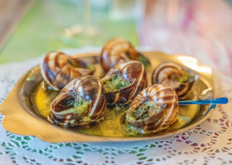  Weinbergschnecken mit Kräuterbutter als Delikatesse 