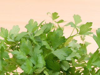 イタリアンパセリ