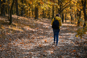 Obraz premium Young woman with photo camera, walking through colorful autumn forest in sunny November day. The woman is dressed with yellow jacket and jeans in harmony with natural autumn colors.