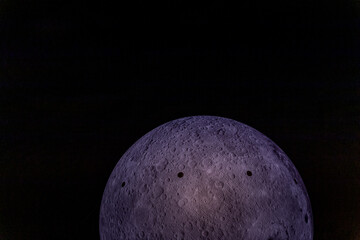 Housefly - Musca domestica close-up macro view while flying in smoke on head eyes and body with outstretched wings in the air on dark background.