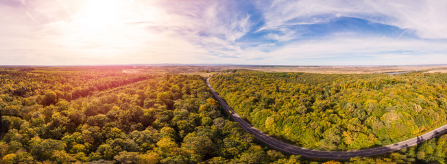 180 degrees scenic landscape of countryside in beautiful autumn sunny day. Aerial drone view of road laid between oak forest. 