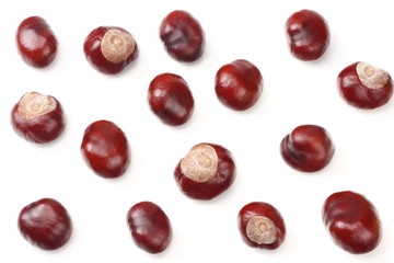 chestnuts isolated on white background. top view