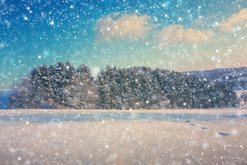 Winter landscape with fir trees and snowfall. Winter background.