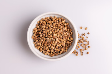Coriander seeds in white ceramic bowl isolated on white background, soft light, studio shot, copy space