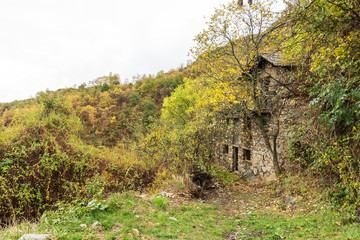 Abandoned stone house in the forest