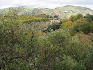 Andalusien, Sierra Norte im Herbst