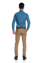 back view of smart casual man wearing blue shirt