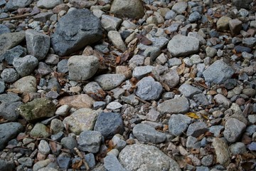 上流　河原　石