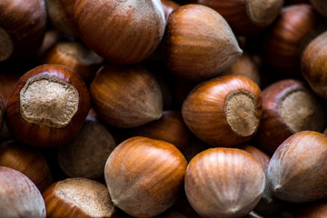 hazelnuts background. food photo concept