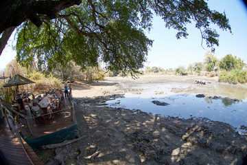 Fototapeta na wymiar Pan in Mana Pools National Park, Zimbabwe