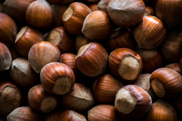 hazelnuts background. food photo concept