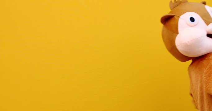 Squirrel character mascot has a message for humanity. Environmental concept about animal rights