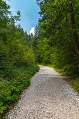 Fototapeta na wymiar Tatra National Park. Poland