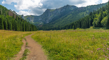 Fototapeta na wymiar Little Meadow Valley (Dolina Małej Łąki) in Tatra Mountains.
