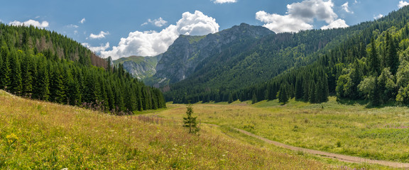 Little Meadow Valley (Dolina Małej Łąki) in Tatra Mountains. © Tomasz