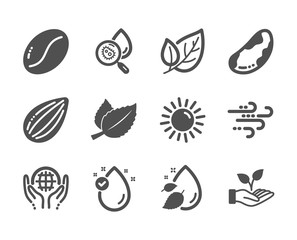 Set of Nature icons, such as Sun, Coffee beans, Vitamin e, Water drop, Mint leaves, Almond nut, Organic tested, Brazil nut, Leaf, Helping hand, Water analysis, Windy weather classic icons. Vector
