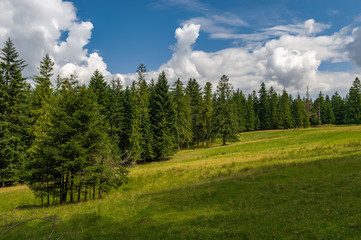 Tatra National Park. Poland