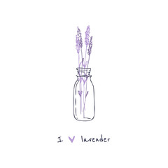 Hand drawn lavender made in vector. Delicate and romantic floral design elements. Line illustration on a white background. Florals in a jar. I love lavender. For prints, banner, postcards