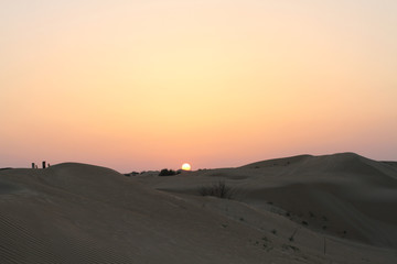 Sunset in the desert. Sand dunes and pink sky