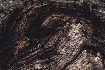 Distinctive pattern in the rock, mountain wall, nature design