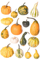 large group of pumpkin and squash on white background