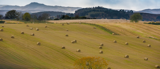 Obraz premium Agriculture in Scotland - Perth and Kinross Council District