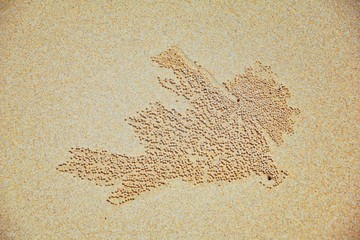 Sand Bubbler Crab, abstract patterns of balls of sand on the beach, of the genera Scopimera and Dotilla, family Dotillidae, Pu Lom in Thai. Found in Indo-Pacific, Phuket, Phi Phi islands near Bangkok,