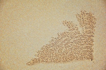 Sand Bubbler Crab, abstract patterns of balls of sand on the beach, of the genera Scopimera and Dotilla, family Dotillidae, Pu Lom in Thai. Found in Indo-Pacific, Phuket, Phi Phi islands near Bangkok,