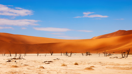 Deadvlei a famous landmark in Namibia.