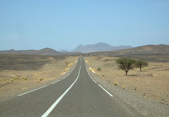 On the road between Rissani and Alnif/ Morocco